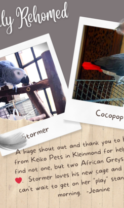 White_Torn_Paper_Happy_Birthday_Instagram_Post_20231122_212118_0000_1700681069