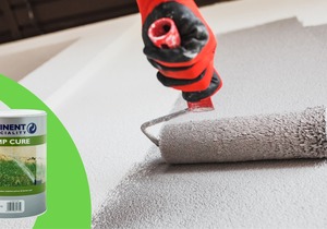 Prominent Damp Cure Speciality