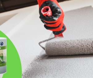 Prominent Damp Cure Speciality