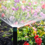 Goldilocks Gardening: The Perfect Solution with Eco-Flo Irrigation!