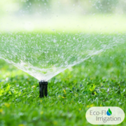 Banish Brown Patches with Precision: Choose Eco-Flo Irrigation!