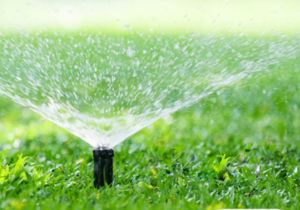 Banish Brown Patches with Precision: Choose Eco-Flo Irrigation!