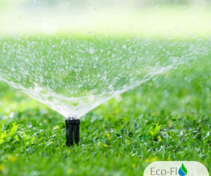 Banish Brown Patches with Precision: Choose Eco-Flo Irrigation!