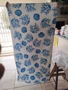 Be Summer Ready with Fish Fever!