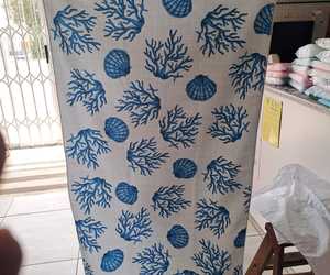 Be Summer Ready with Fish Fever!