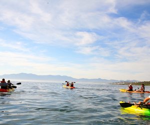 Updated Week 5 of 2014 - Gansbaai News, Specials & Events