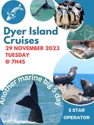 Next Dyer Island Marine Big 5 Tour: 29 November 2023