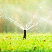 Say Goodbye to Gardening Mishaps with Eco-Flo Irrigation!