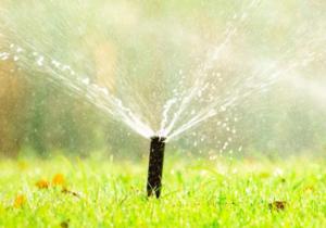 Say Goodbye to Gardening Mishaps with Eco-Flo Irrigation!