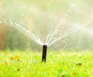 Say Goodbye to Gardening Mishaps with Eco-Flo Irrigation!