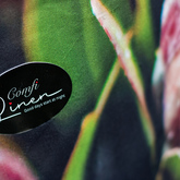 King Pillows - Comfi Linen - Xplorio™ Kleinmond