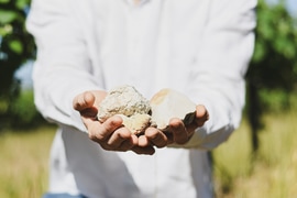 Ultimately, everything comes back to the soil!