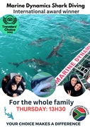 Next Marine Dynamics Shark Cage Diving Trip: 30 November 2023