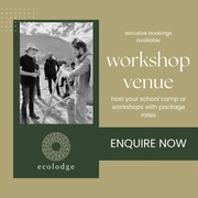 Discover Tranquility at Greyton Ecolodge: Your Perfect Venue Awaits!