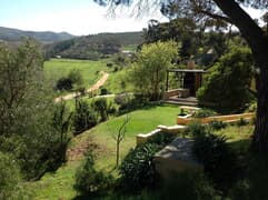 Discover Tranquility at Swaynekloof Farm - Open for Festive Season