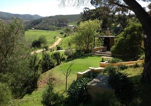 Discover Tranquility at Swaynekloof Farm - Open for Festive Season
