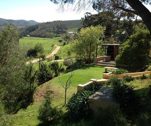 Discover Tranquility at Swaynekloof Farm - Open for Festive Season