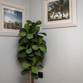 Decor - 1 Harbour Way - Xplorio™ Gansbaai