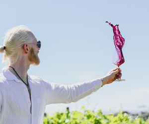 Journey to the Centre of the Universe - Blanc Fumé 2021