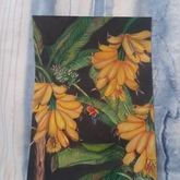 Artist Wendy Ann - Pop-Up Gallery - Xplorio™ Gansbaai