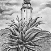 Artist Dion Futemann - Pop-Up Gallery - Xplorio™ Gansbaai