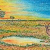 Artist Dion Futemann - Pop-Up Gallery - Xplorio™ Gansbaai