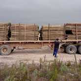 Poles - Fynbos Pole Depot Hermanus - Xplorio™ Hermanus