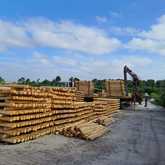 Poles - Fynbos Pole Depot Bredasdorp - Xplorio™ Bredasdorp