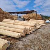 Poles - Fynbos Pole Depot Bredasdorp - Xplorio™ Bredasdorp