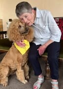 Herberg-aan-See: Where Paws Bring Joy!