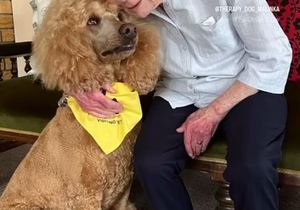 Herberg-aan-See: Where Paws Bring Joy!