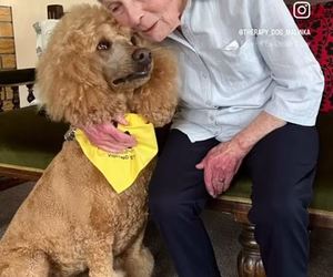 Herberg-aan-See: Where Paws Bring Joy!