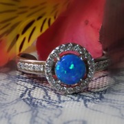 Celebrate December Birthdays with JOY!