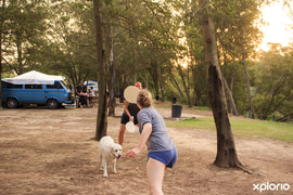 Where Every Family Member is Welcome, Including Furry Ones!