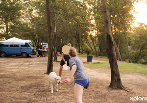 Where Every Family Member is Welcome, Including Furry Ones!