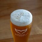 Beer - Walker Bay Estate and Birkenhead Brewery - Xplorio™ Stanford