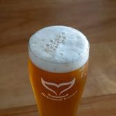 Beer - Walker Bay Estate and Birkenhead Brewery - Xplorio™ Stanford