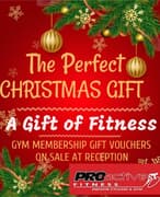 Give the Gift of Fitness this Christmas with PROactive Fitness!
