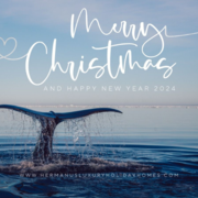 Merry Christmas and Happy New Year!