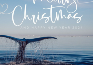 Merry Christmas and Happy New Year!