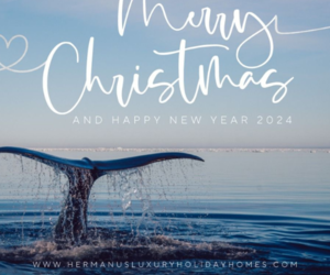 Merry Christmas and Happy New Year!