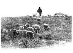 Now in Stock - De Herder!