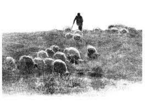 Now in Stock - De Herder!