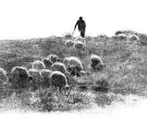 Now in Stock - De Herder!