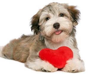 Loving the Overberg - Weekly Update Week 7