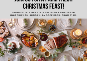 Join us for a Festive Farm-Fresh Christmas Feast at Die Plaaskombuis!