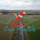 Discover Cape Agulhas