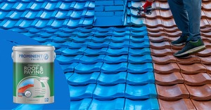 Prominent Paints: Premium Roof and Paving Excellence