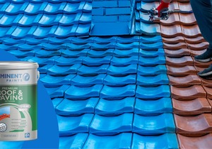 Prominent Paints: Premium Roof and Paving Excellence