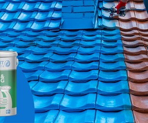 Prominent Paints: Premium Roof and Paving Excellence